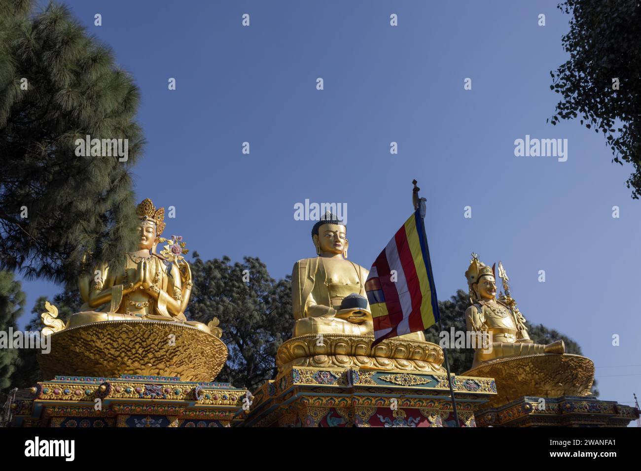 Les statues de Bouddha d'or dans le parc de Bouddha, la région de Swayambhunath, Katmandou, Népal, le site du patrimoine mondial déclaré par l'UNESCO Banque D'Images