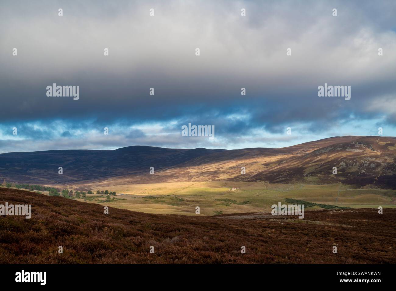 Montagnes de la fin de l'automne dans les Cairngorms, Highlands, Écosse Banque D'Images