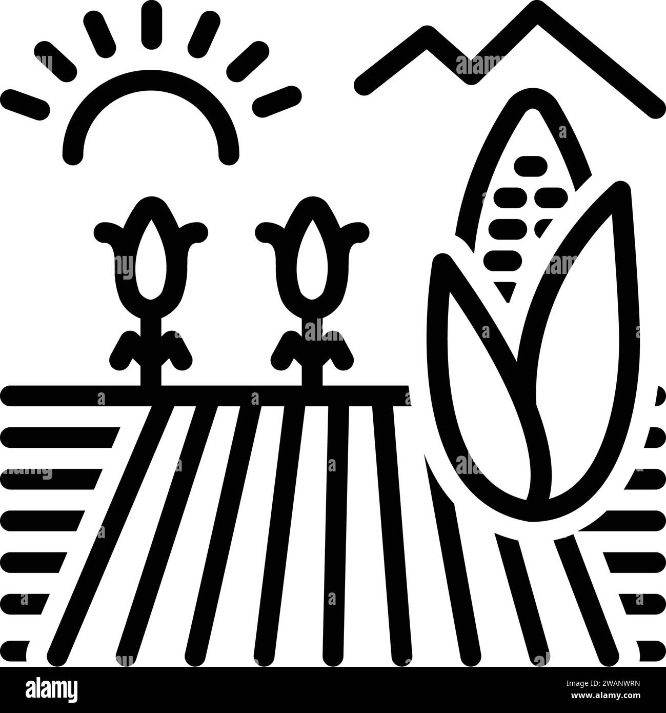 Icône pour champ de maïs, récolte Illustration de Vecteur