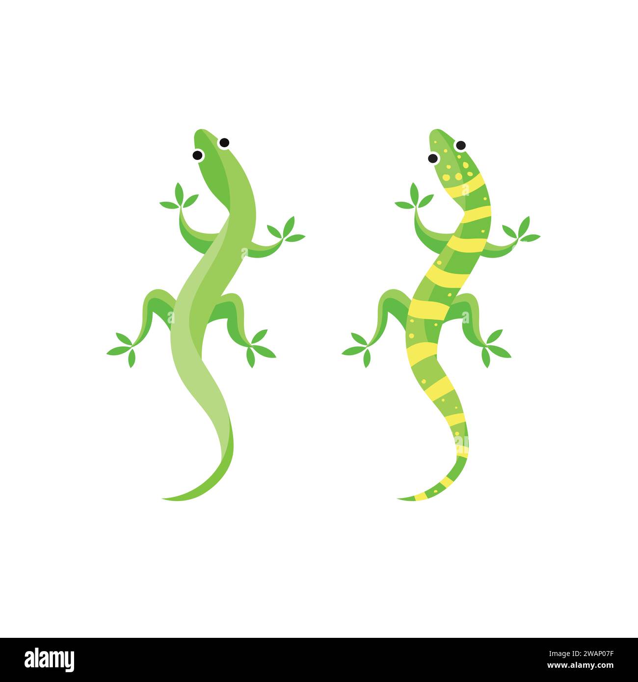 Gecko ou lézard illustration vectorielle, illustration d'animal isolé de lézard sur fond blanc. illustration de lézard. Illustration de Vecteur