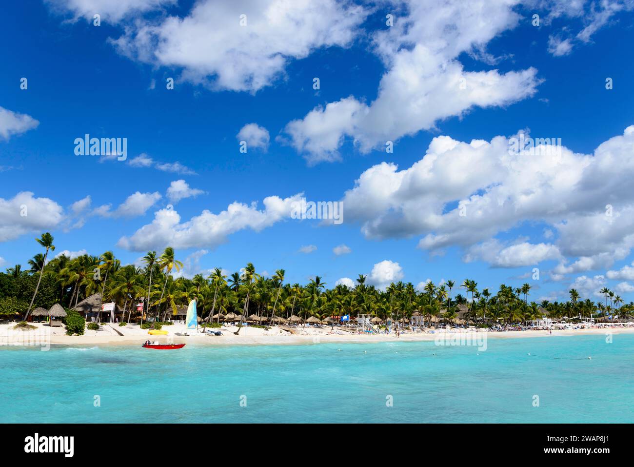 Une plage idyllique à l'eau claire sous un ciel bleu, entourée de palmiers, Palm Beach Dominicus, Bayahibe, République Dominicaine, Hispaniola, Caribbea Banque D'Images