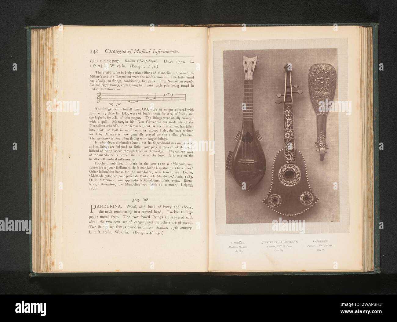 Montage d'une machette, d'un citer et d'une Pandurina du South Kensington Museum à Londres, Anonyme, c. 1869 - en 1874 ou avant l'impression photomécanique London instruments à cordes en papier (plumked). cither, mandoline, guitare, balalaika Banque D'Images