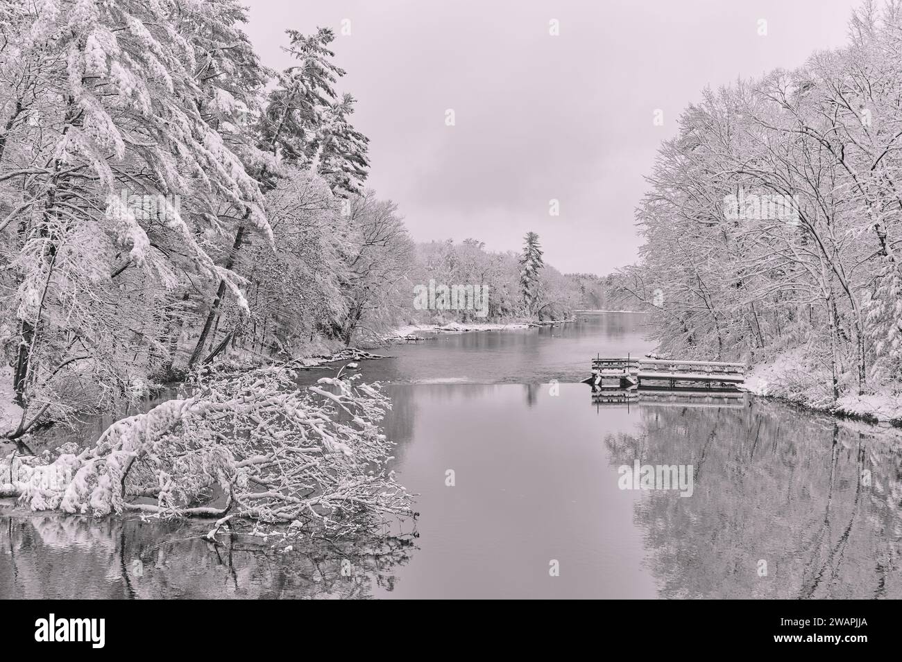 Une journée enneigée sur Jug Stream dans le centre du Maine. Banque D'Images