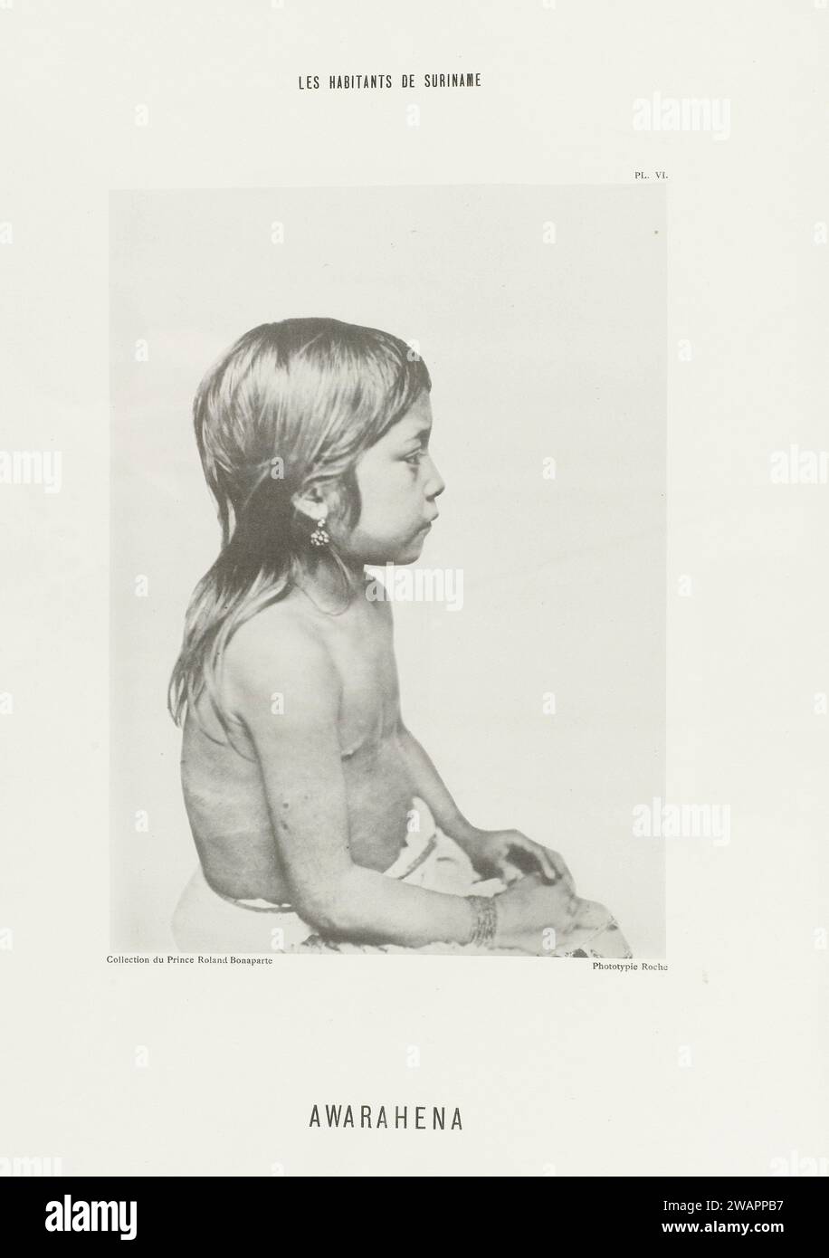 Portret Van Awarahena, Friedrich Carel Hisgen, 1883 - 1884 Photomécanique Portrait d'Awarahena, un caribb du Suriname, photographié sur l'exposition internationale coloniale et commerciale, Amsterdam 1883. Le Collotype papier Amsterdam enfant. Peuples autochtones d'Amérique du Sud. Personnages historiques Amsterdam Banque D'Images