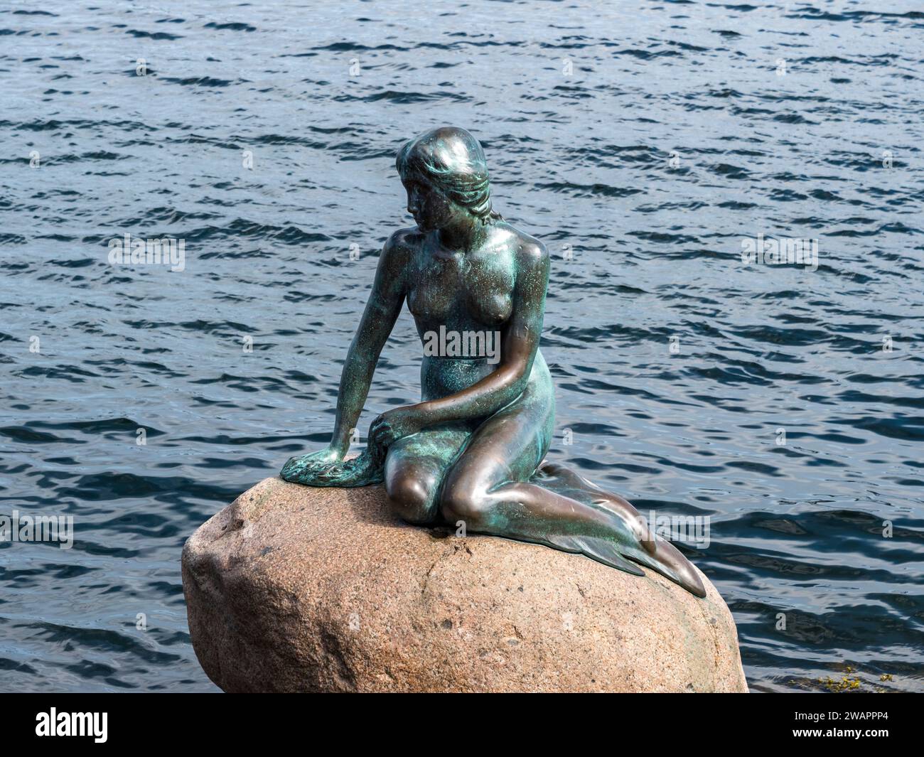 Sculpture de la petite Sirène (Den Lille Havfrue) au bord de l'eau sur la promenade Langelinie, Copenhague, Danemark. Banque D'Images