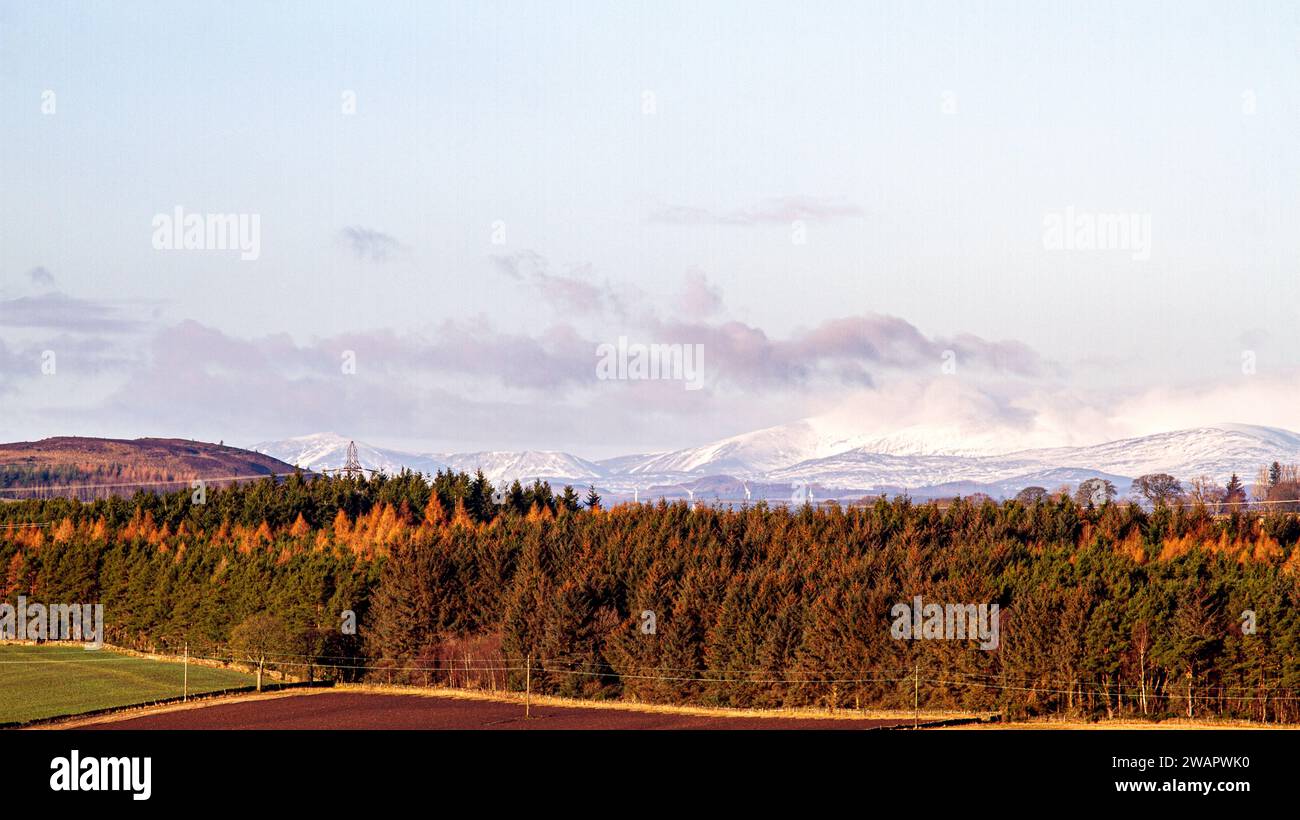 Dundee, Tayside, Écosse, Royaume-Uni. 6 janvier 2024. Météo Royaume-Uni : beau soleil d'hiver avec gel matinal offre une vue imprenable sur le paysage sur les collines Sidlaw et Strathmore Valley dans la campagne de Dundee, en Écosse. Crédit : Dundee Photographics/Alamy Live News Banque D'Images