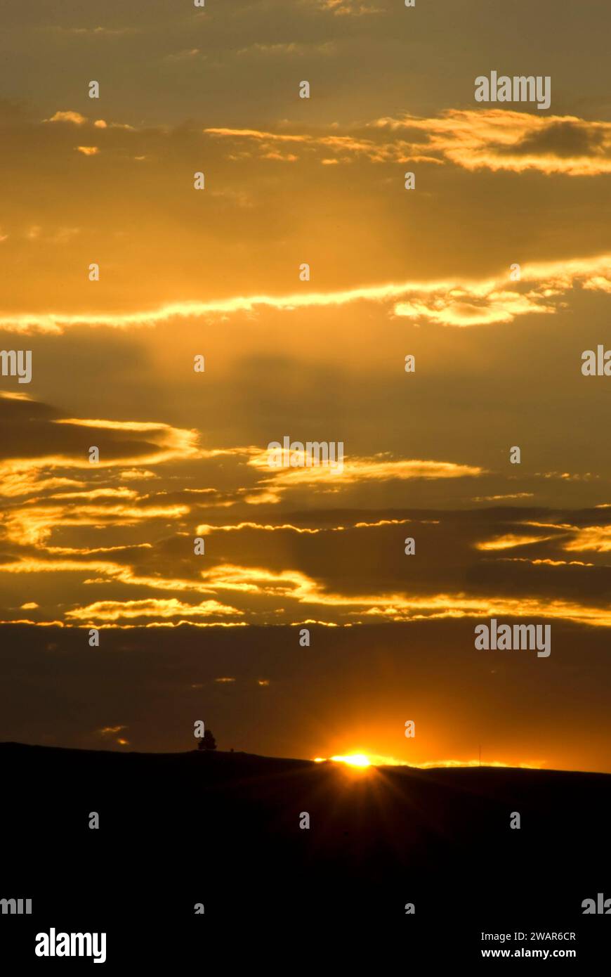 Sunrise, Powell County, Montana Banque D'Images