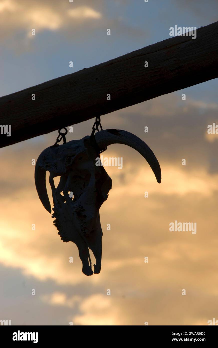 Sunrise ranch gate, Powell County, Montana Banque D'Images
