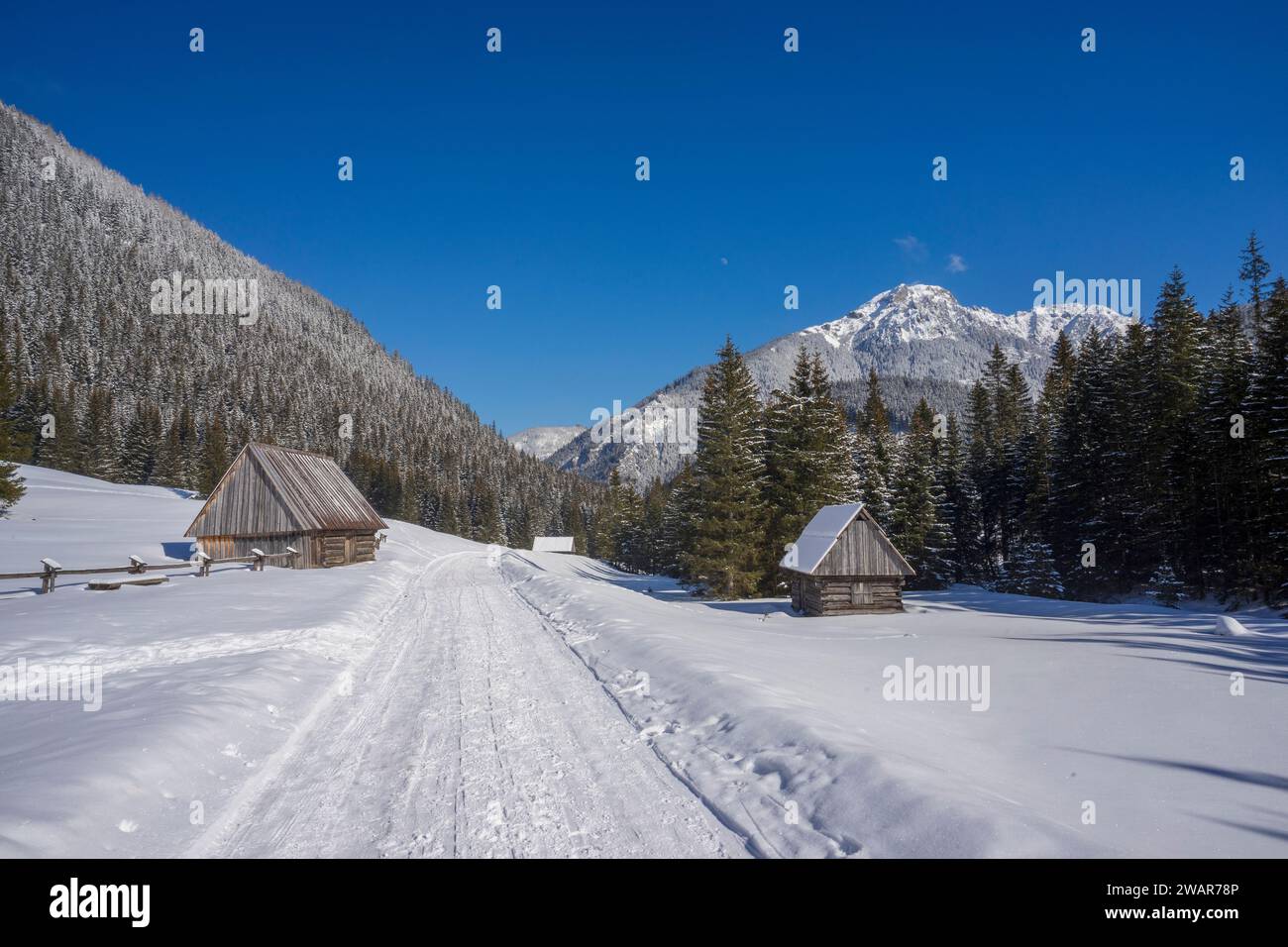 Vallée de Chocholowska en hiver. Tatra Mountains. Banque D'Images