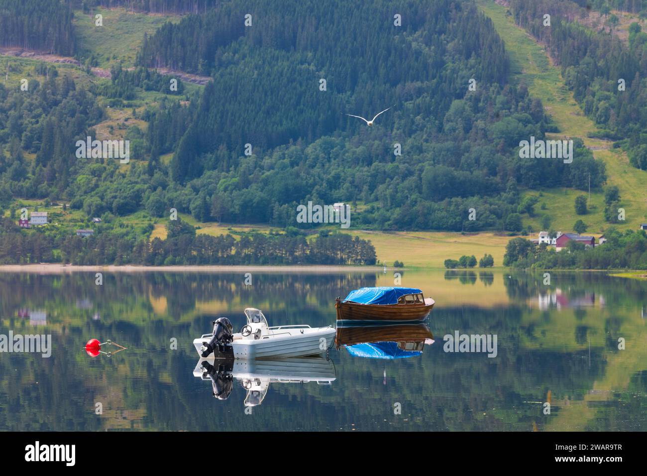 Deux motomarines se reposent dans les eaux calmes et calmes du lac Melsvatnet près de la ville de Borstrondi, en Norvège, pendant une matinée d'été. Banque D'Images