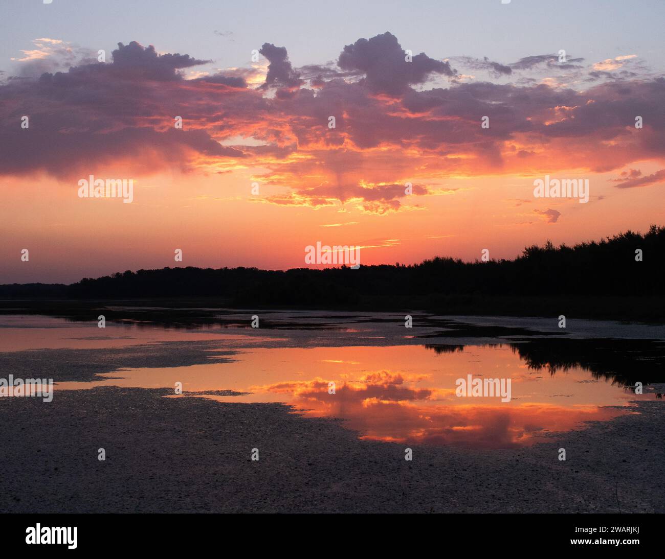 Lever de soleil reflété dans un lac à Crex Meadows dans le Wisconsin. Banque D'Images