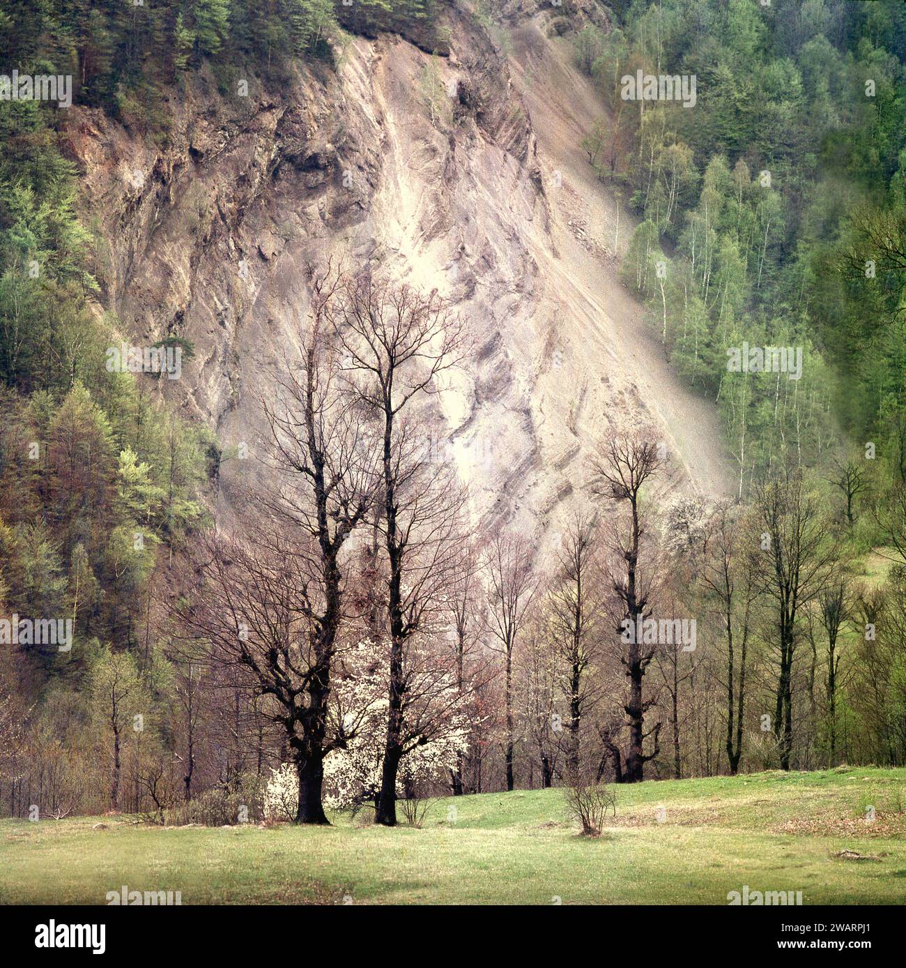 Comté de Vrancea, Roumanie, env. 1979. Falaise érodée à la réserve naturelle de Rapa Rosie. Banque D'Images