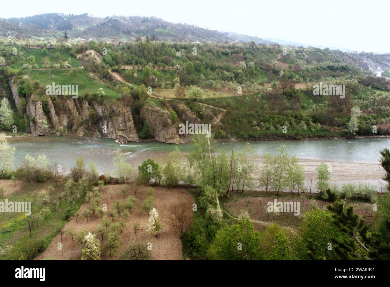 Comté de Vrancea, Roumanie, env. 1999. Paysage avec la rivière Putna et son canyon. Vergers sur les collines au printemps. Banque D'Images