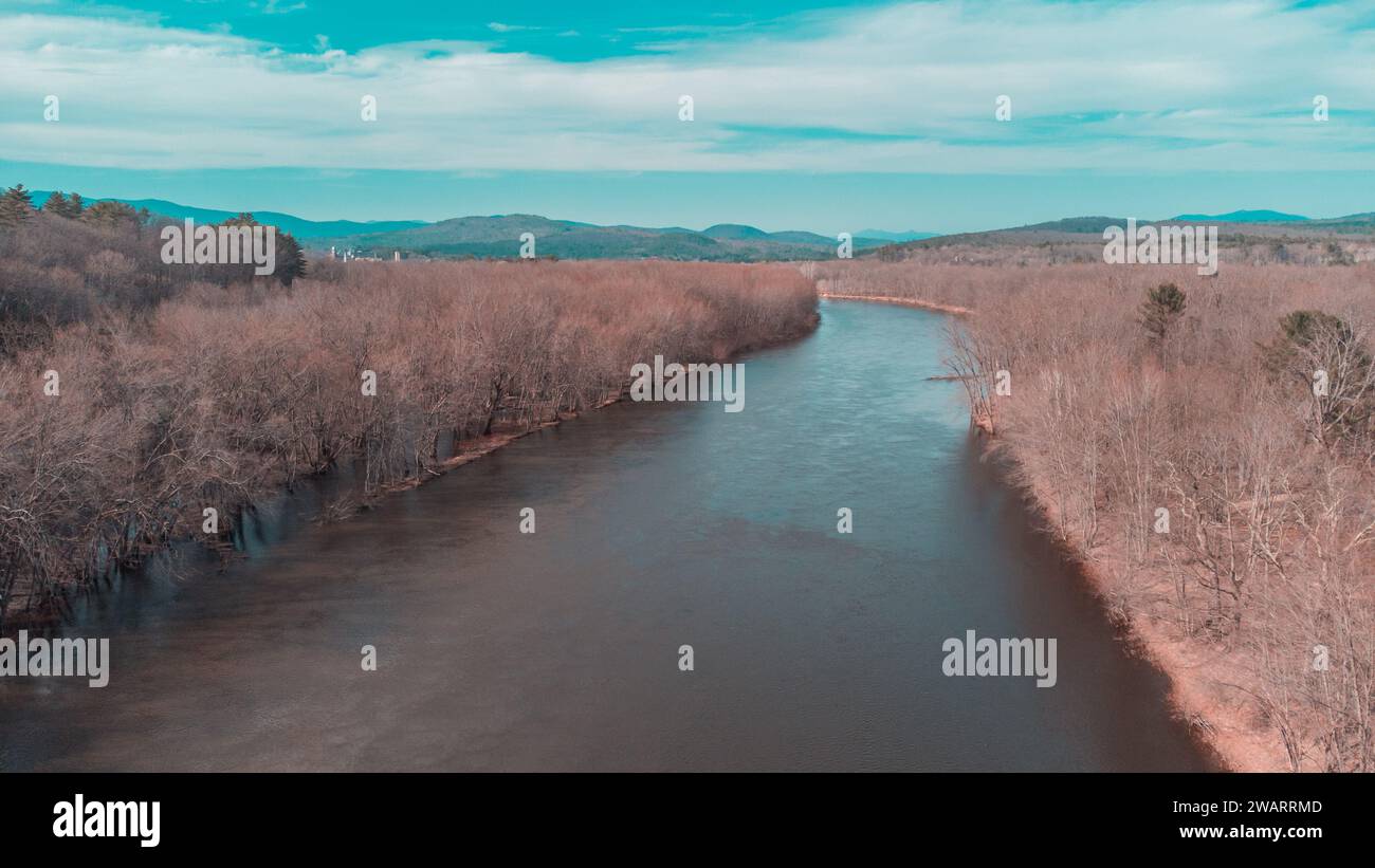 Une scène tranquille avec un petit ruisseau coulant à travers une forêt d'arbres verdoyants Banque D'Images