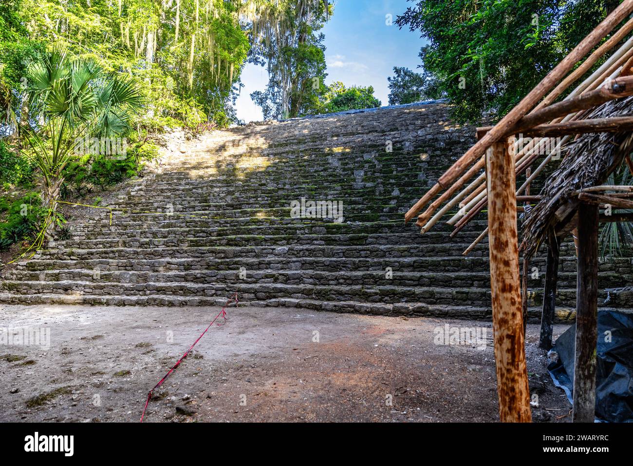 Un ensemble d'escaliers raides et étroits sculptés dans un paysage luxuriant, jungle à Cozumel, au Mexique Banque D'Images