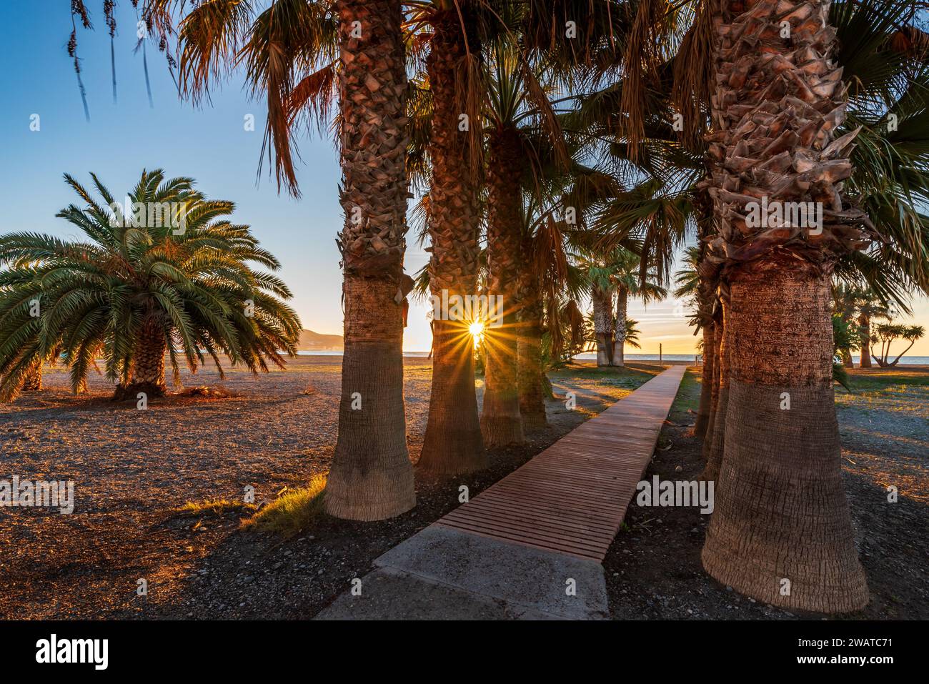 Passerelle bordée de palmiers qui donne accès à la plage de Poniente de Motril, Costa Tropical de Granada. Banque D'Images