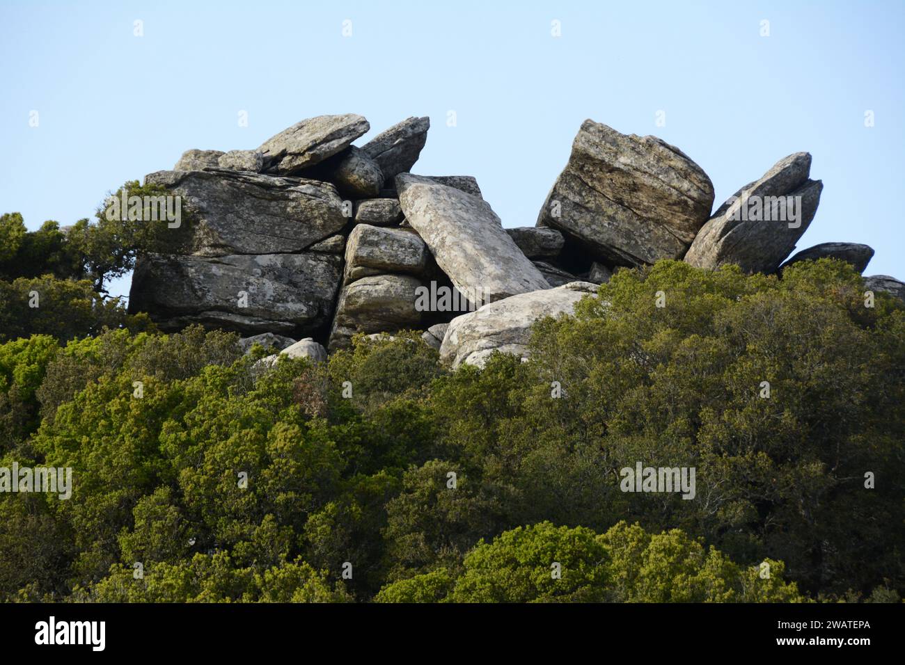 Un groupe de rochers et une forêt sur une montagne, sur la côte sud de l'île grecque d'Ikaria, près de Karkinagri, Grèce. Banque D'Images