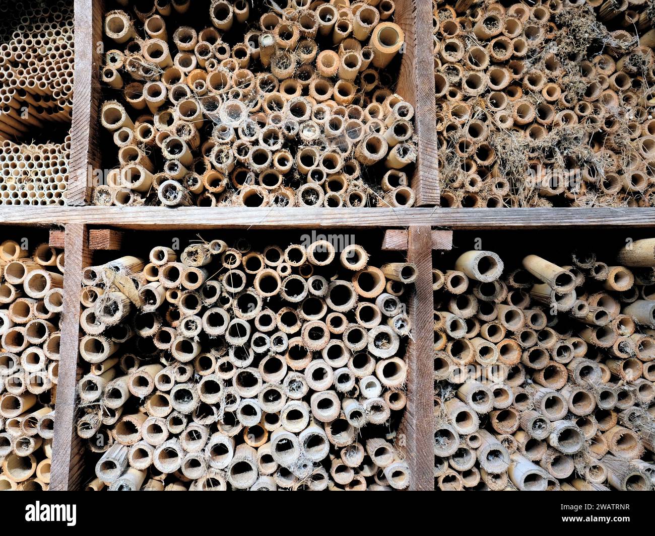 Gros plan d'une ancienne ruche de bambou abandonnée faite pour soutenir les populations d'abeilles et la pollinisation, peut être utilisé pour la nidification et la production de miel. Banque D'Images