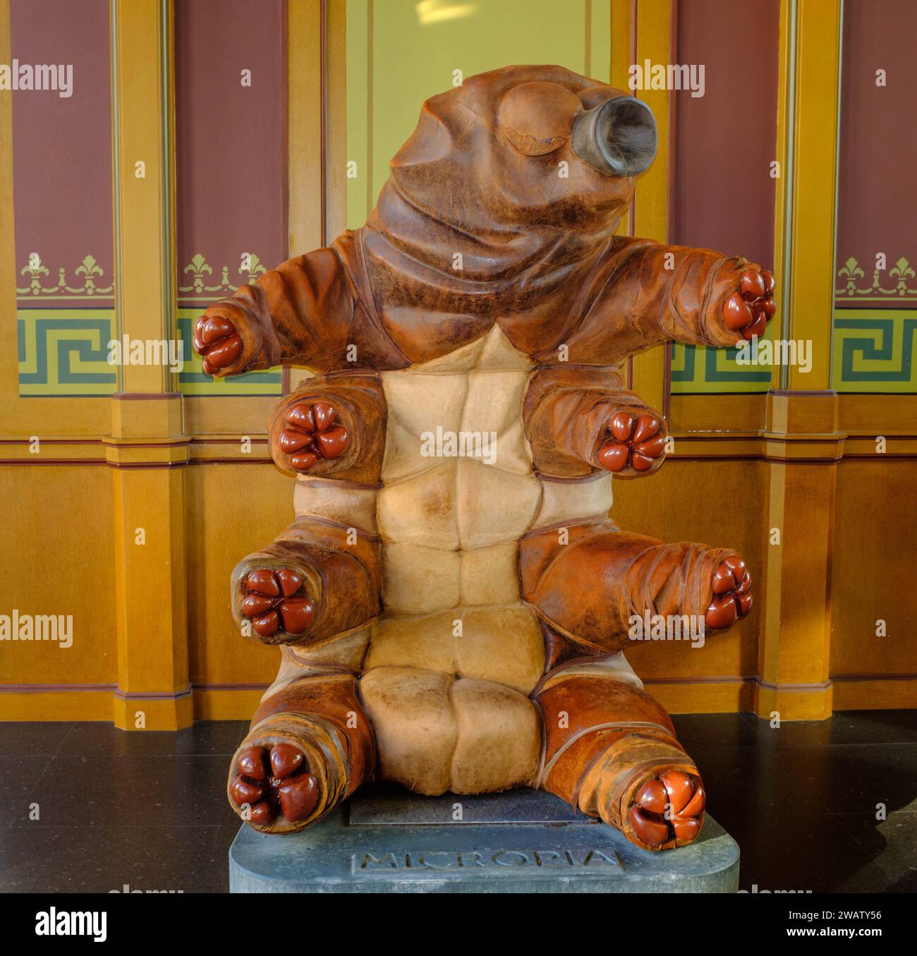Statut microbe de l'ours d'eau tardigrades à l'ARTIS Micropia Museum Amsterdam Banque D'Images