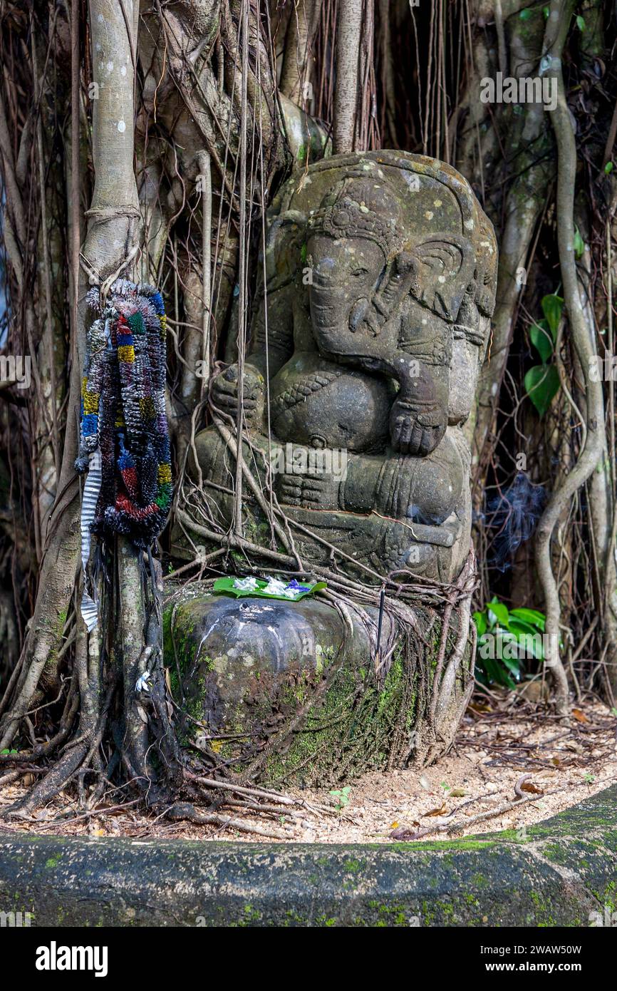 Une statue en pierre sculptée de Ganesha, le dieu hindou à tête d'éléphant, est assise à côté d'un arbre à Pinnawala au Sri Lanka. Ganesha est l'un des dieux les plus vénérés. Banque D'Images