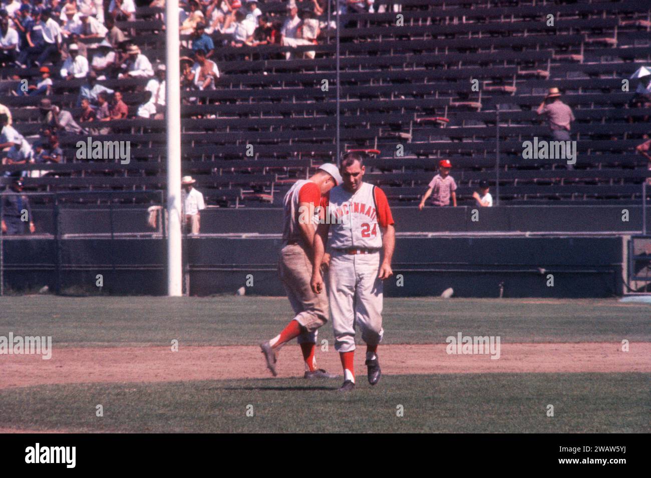LOS ANGELES, CA - JUILLET 9 : Jerry Lynch #24 et Gordy Coleman #18 des Reds de Cincinnati reviennent à leurs positions après que Lynch se soit retrouvé dans un double jeu lors d'un match MLB contre les Dodgers de Los Angeles le 9 juillet 1961 au Los Angeles Memorial Coliseum de Los Angeles, en Californie. (Photo de Hy Peskin) *** Légende locale *** Jerry Lynch;Gordy Coleman Banque D'Images