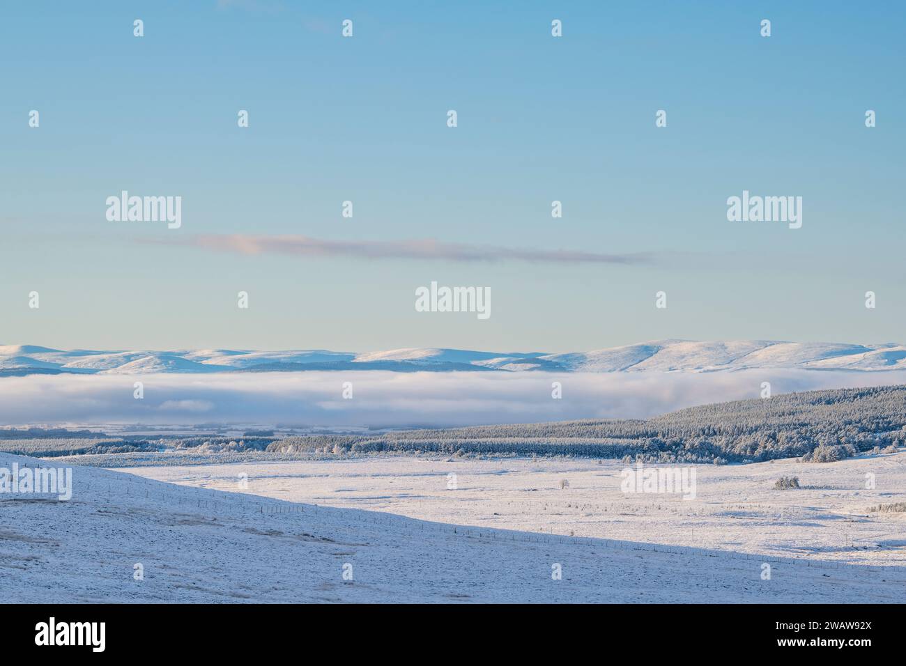 Brume le long des Cairngorms dans la neige. Highlands, Écosse Banque D'Images