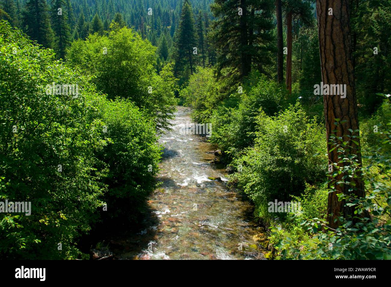 Prune creek Banque de photographies et d’images à haute résolution Alamy