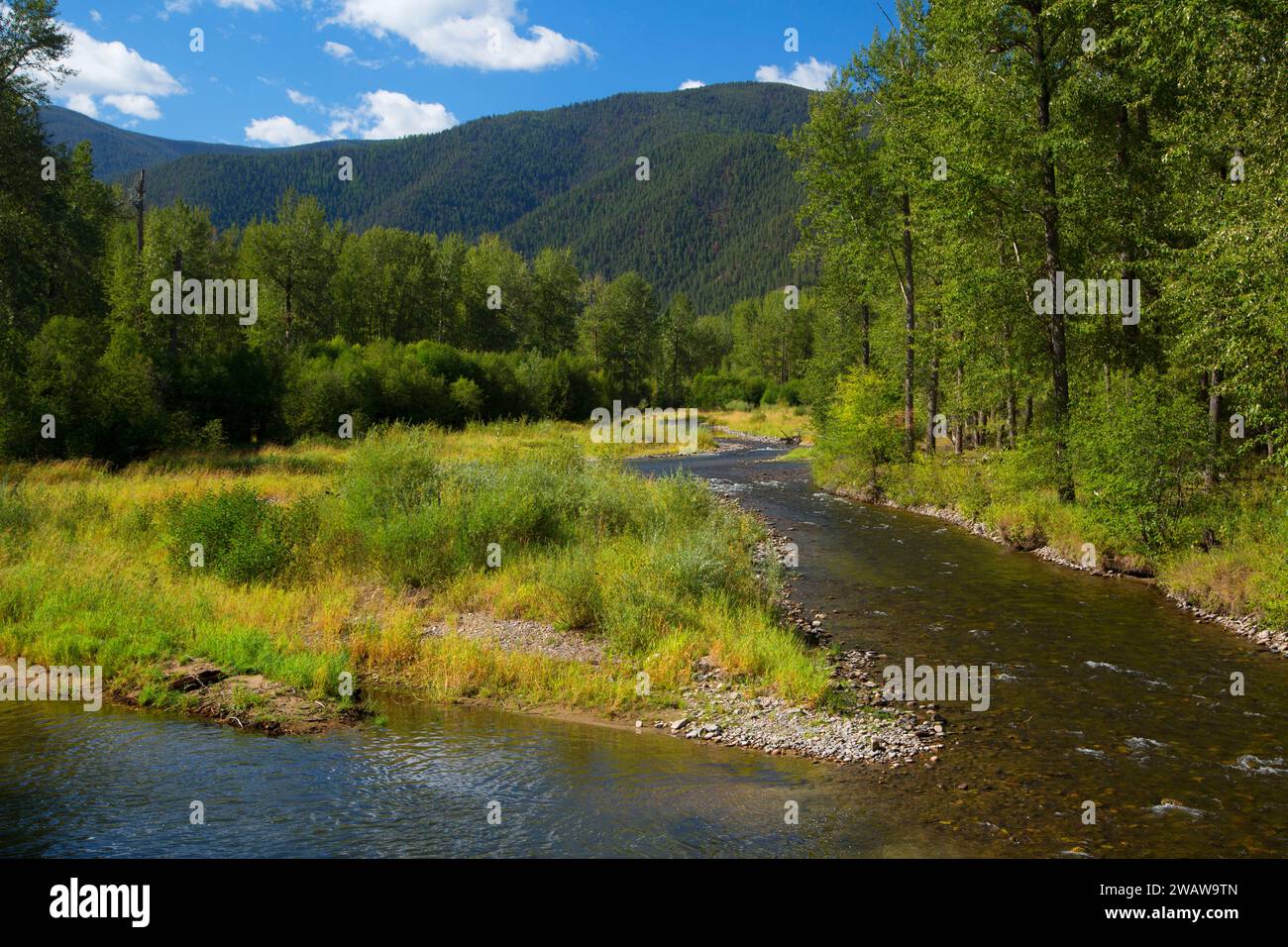 Rock Creek, Lolo National Forest, Montana Banque D'Images