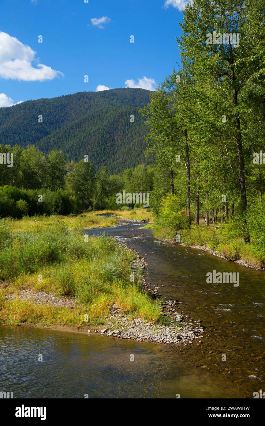 Rock Creek, Lolo National Forest, Montana Banque D'Images