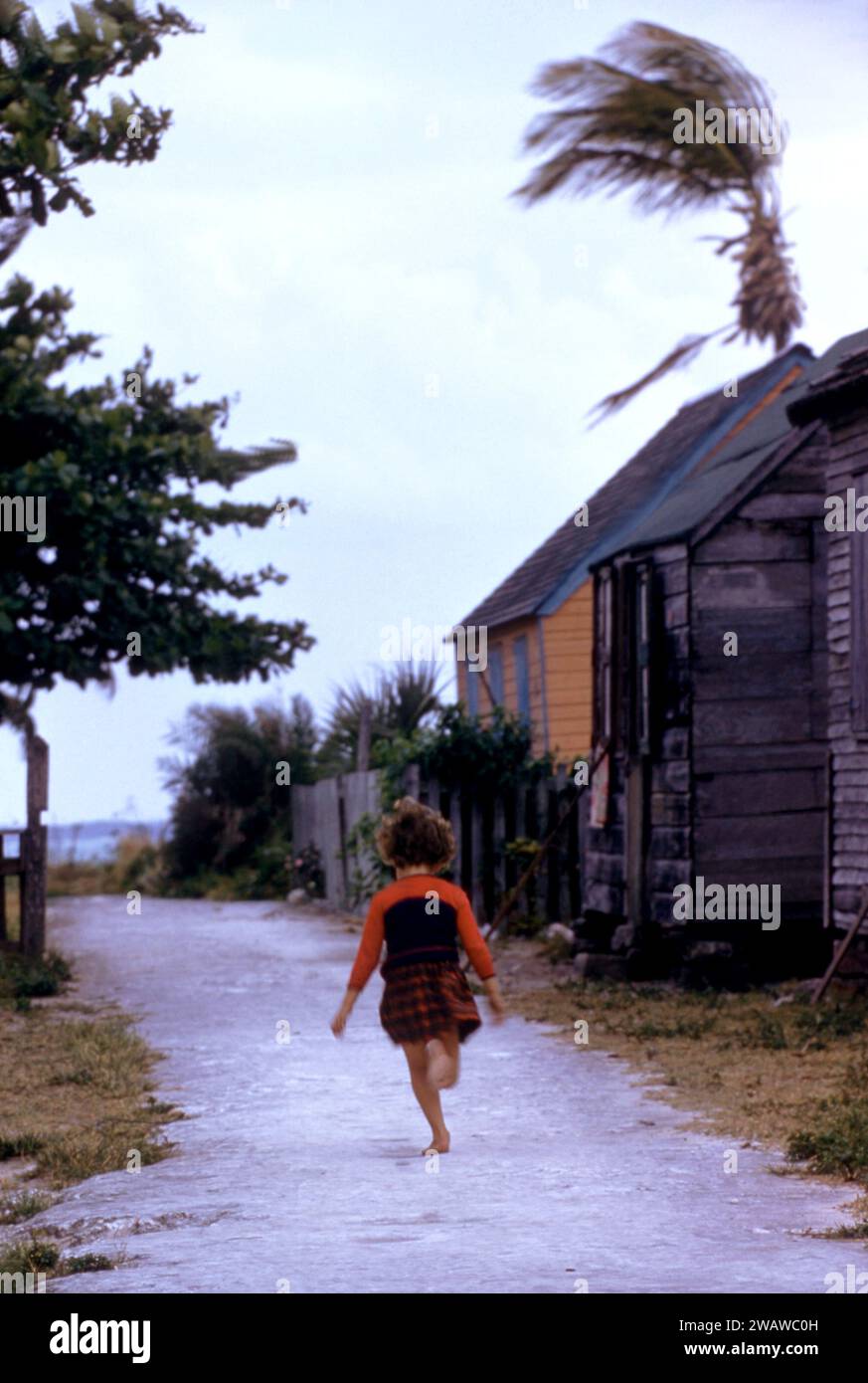 GREEN TURTLE CAY, ABACO, BAHAMAS - AVRIL 28 : vue générale d'une jeune fille courant sur un sentier venteux le 28 avril 1956 à Green Turtle Cay, Abaco, Bahamas. (Photo de Hy Peskin) Banque D'Images