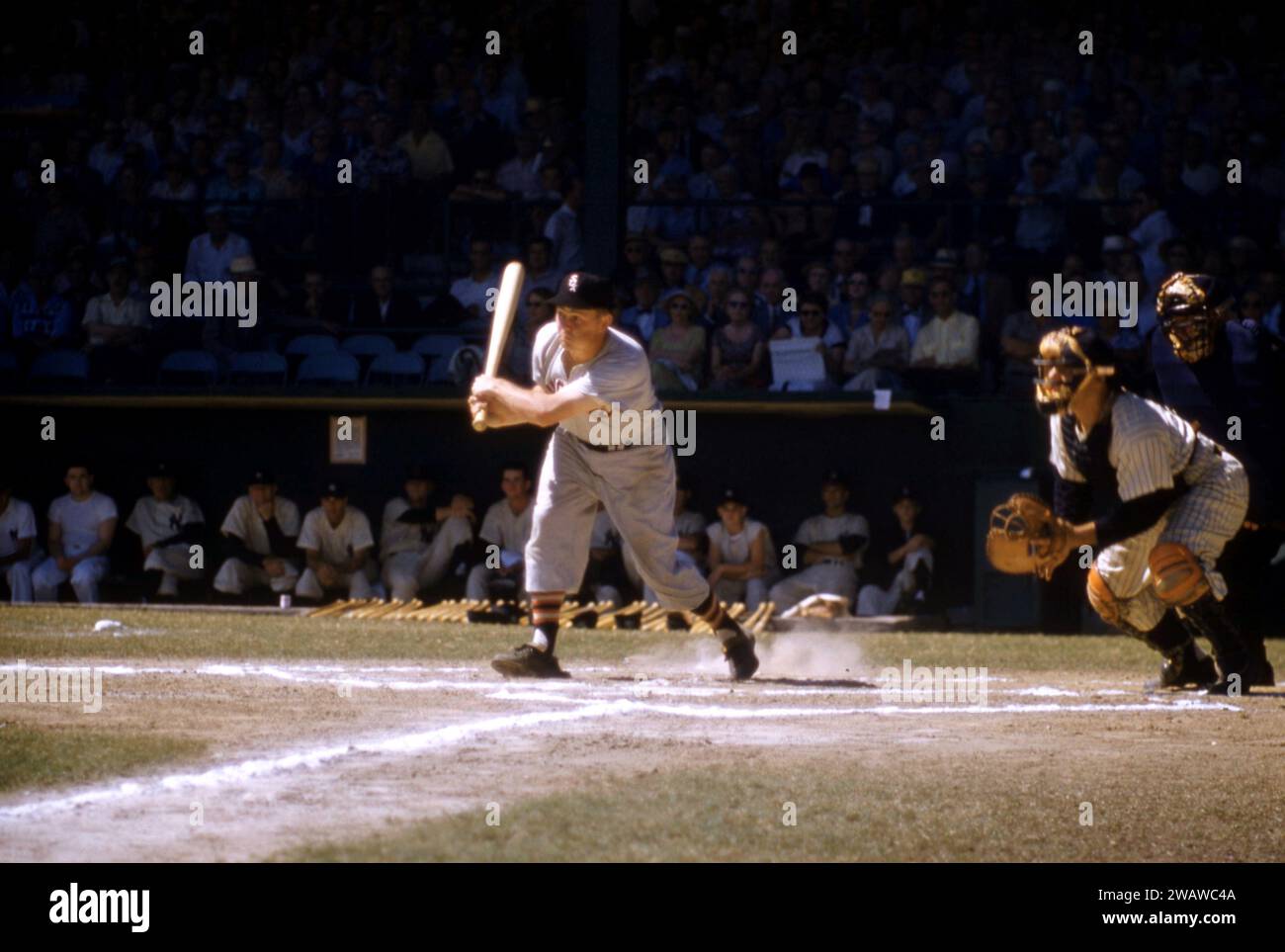 ST. PETERSBURG, FL - 12 MARS : Nellie Fox #2 des White Sox de Chicago saute sur le terrain lors d'un match d'entraînement de pré-saison MLB contre les Yankees de New York le 12 mars 1956 à St. Petersburg, Floride. Le receveur des Yankees est Yogi Berra #8. (Photo de Hy Peskin) *** Légende locale *** Nellie Fox;Yogi Berra Banque D'Images