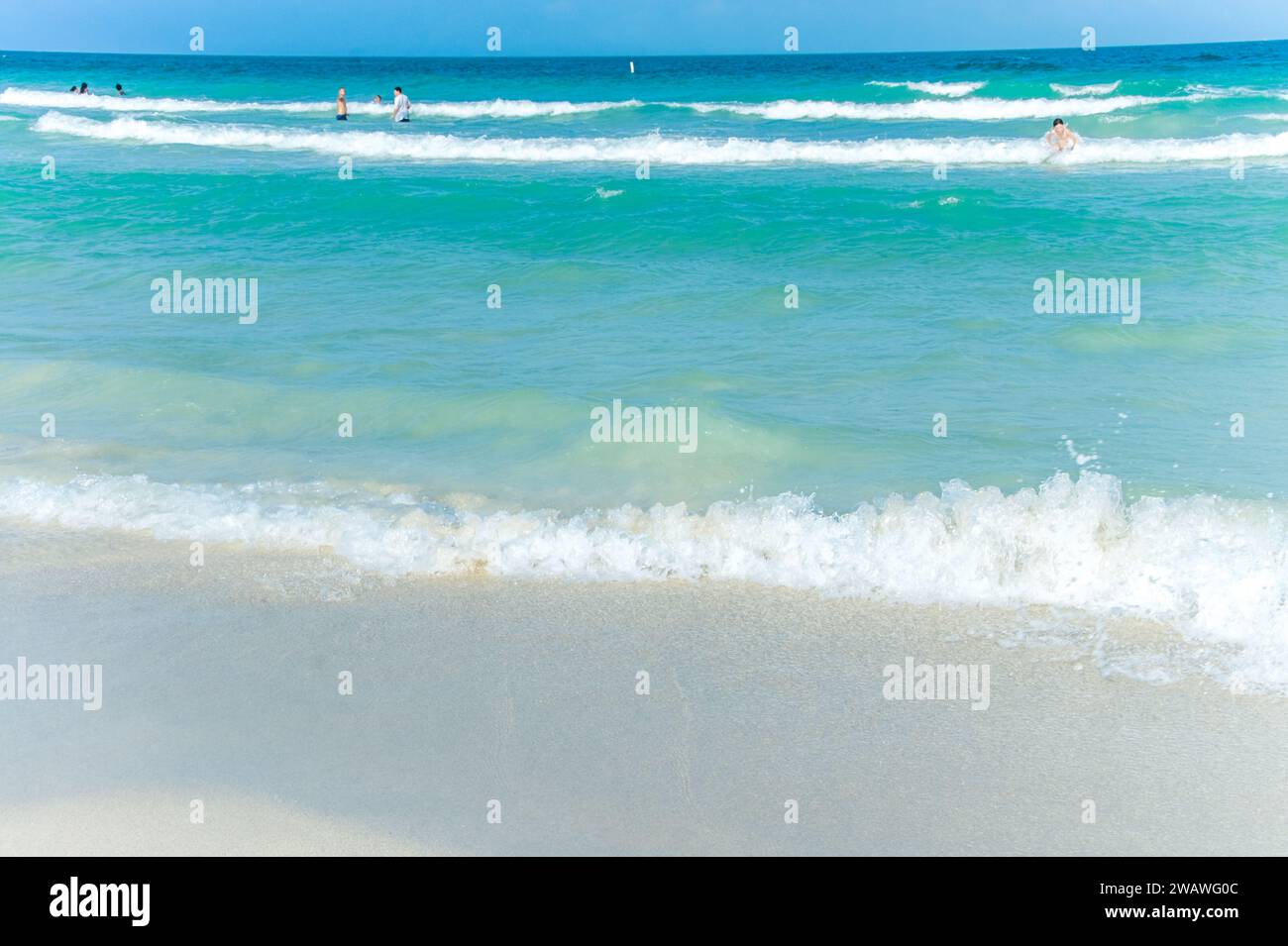 Découvrez Lido Key Beach, un joyau pittoresque de Sarasota avec du sable poudreux, une piscine et bien plus encore. Idéal pour ceux qui recherchent une vie cosmopolite et préservée Banque D'Images Découvrez Lido Key Beach, un joyau pittoresque de Sarasota avec du sable poudreux, une piscine et bien plus encore. Idéal pour ceux qui recherchent une vie cosmopolite et préservée Banque D'Images