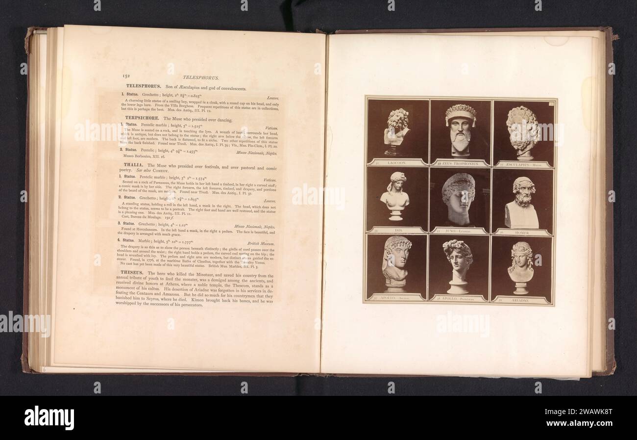 Neuf moulages de bustes antiques dont ISIS, Apollo, Ariane et le Juno Ludovisi, H. G. Smith, c. 1864 - en 1874 ou avant la photographie support photographique Albumen impression pièce de sculpture, reproduction d'une pièce de sculpture. poitrine, buste. (Histoire de) Juno (Hera) Banque D'Images