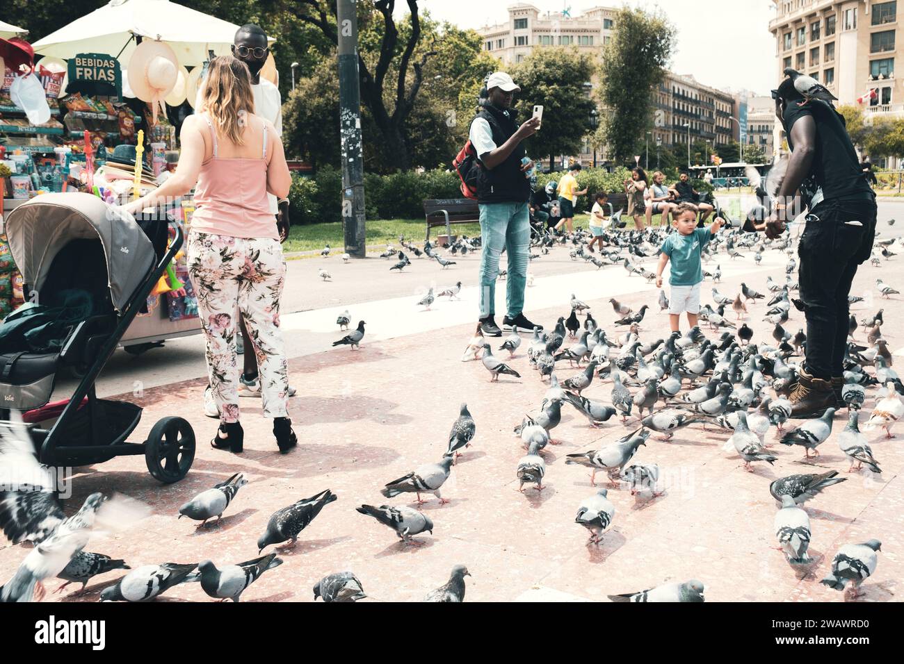 Barcelone, Espagne - 5 juin 2021 : les touristes prennent des photos avec des pigeons à Barcelone Banque D'Images