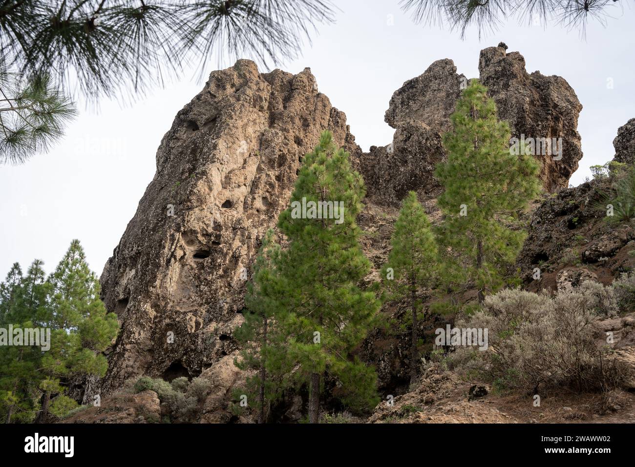Falaises volcaniques à Roque Nublo sur l'île de Gran Canaria, Espagne Banque D'Images