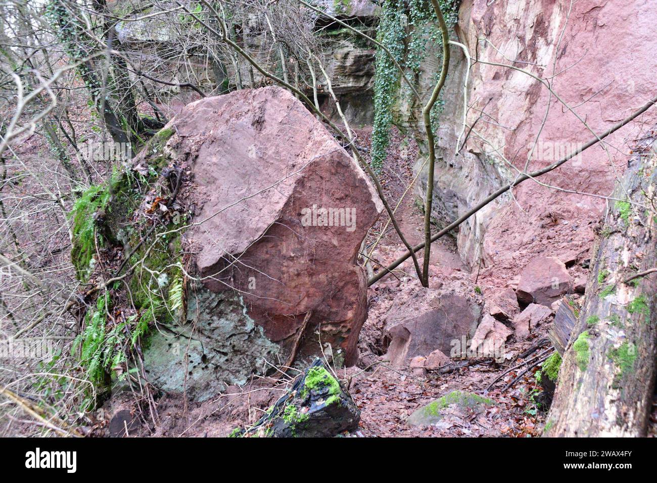 Im unteren Felsenweg in Saarbrücken Hat sich ein Teil der Felswand gelöst, ein Stein mit mindestens 150 Tonnen Gewicht liegt am Donnerstag 4.1.2024 schräg im Hang und kann jede Sekunde abrutschen. *** Dans le bas Felsenweg à Saarbrücken, une partie de la paroi rocheuse s'est détachée, une pierre pesant au moins 150 tonnes se trouve en diagonale dans la pente le jeudi 4 1 2024 et pourrait glisser à n'importe quel deuxième coup Banque D'Images