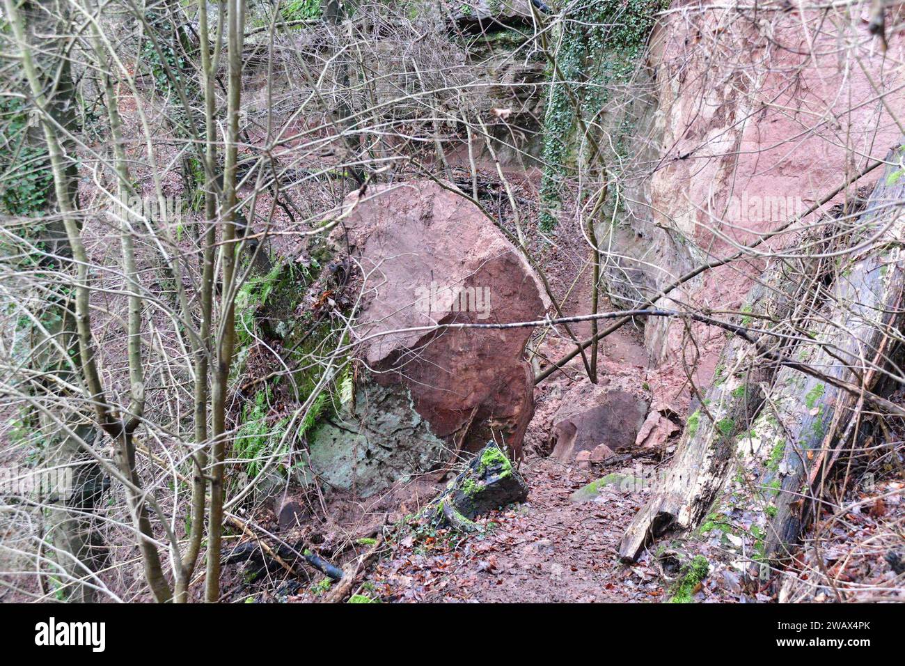 Im unteren Felsenweg in Saarbrücken Hat sich ein Teil der Felswand gelöst, ein Stein mit mindestens 150 Tonnen Gewicht liegt am Donnerstag 4.1.2024 schräg im Hang und kann jede Sekunde abrutschen. *** Dans le bas Felsenweg à Saarbrücken, une partie de la paroi rocheuse s'est détachée, une pierre pesant au moins 150 tonnes se trouve en diagonale dans la pente le jeudi 4 1 2024 et pourrait glisser à n'importe quel deuxième coup Banque D'Images