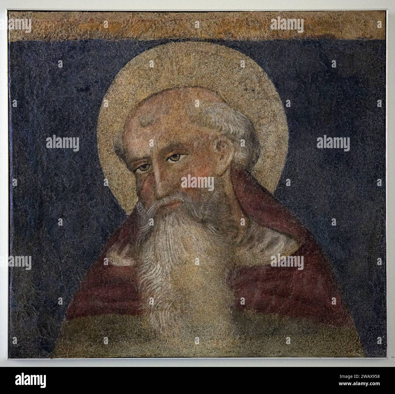 Italie Ombrie Foligno : Palazzo Trinci. Abrite une galerie d'art et un musée archéologique. Saint Antoine l'Abbé. Première moitié du 15e siècle. Fresque détachée de l'église de San Domenico Banque D'Images