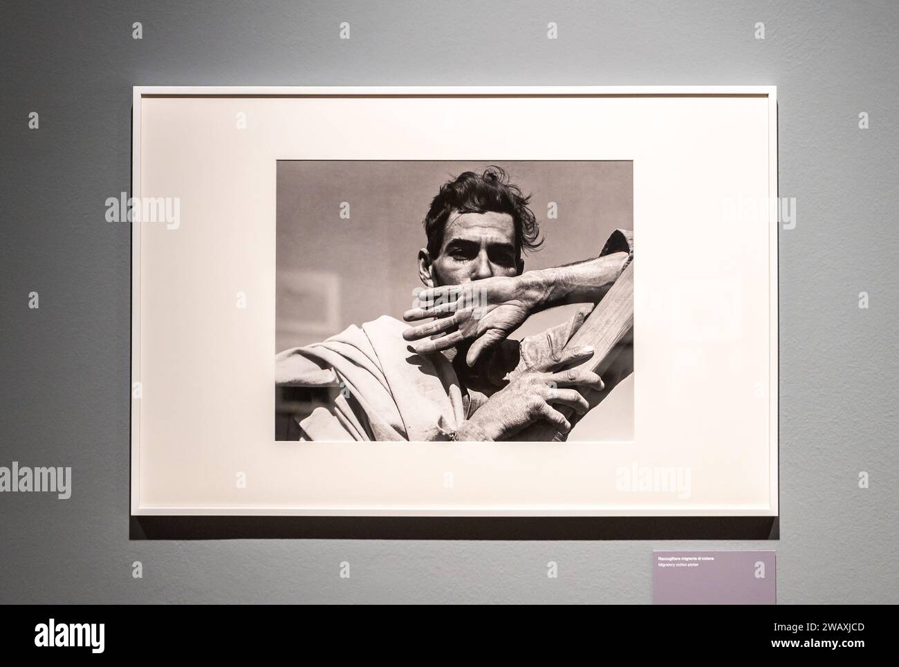 Cueilleuse de coton migratrice 1937. Exposition photographique de la photographe américaine Dorothea Lange. Musée civique de Bassano del grappa, Italie, 16 décembre 2023 Banque D'Images