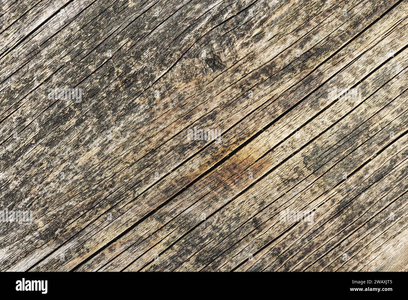 Fond en bois. Texture de la vieille planche de bois. Vue de dessus. Banque D'Images