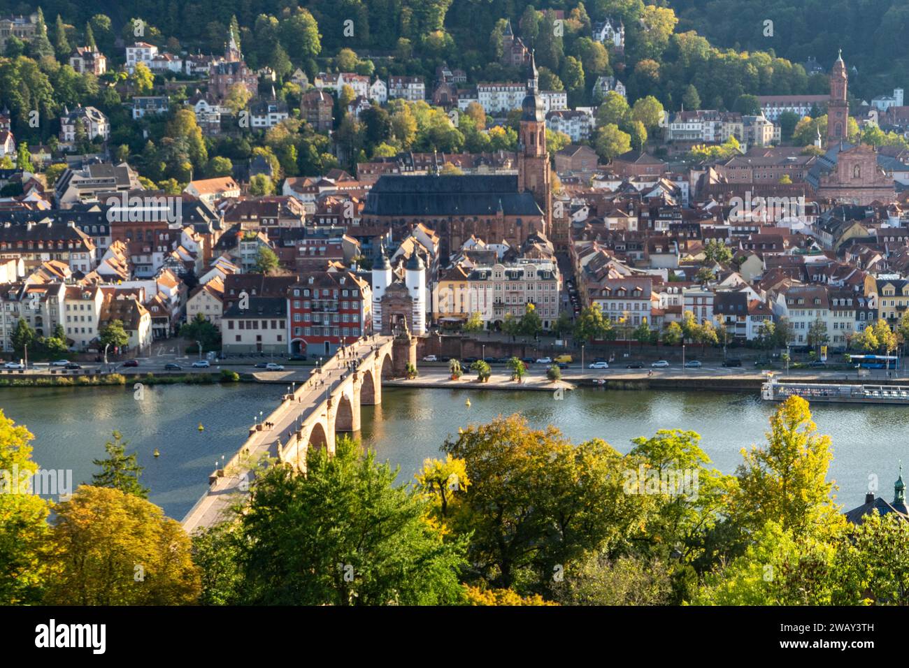 marcher le long de la longue rivière neckar Banque D'Images
