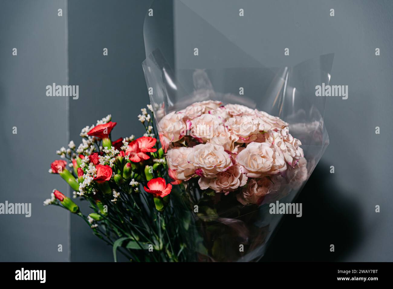 Roses roses délicates et œillets rouges vibrants enveloppés dans un film transparent, projetant une ombre douce sur un fond gris. Banque D'Images