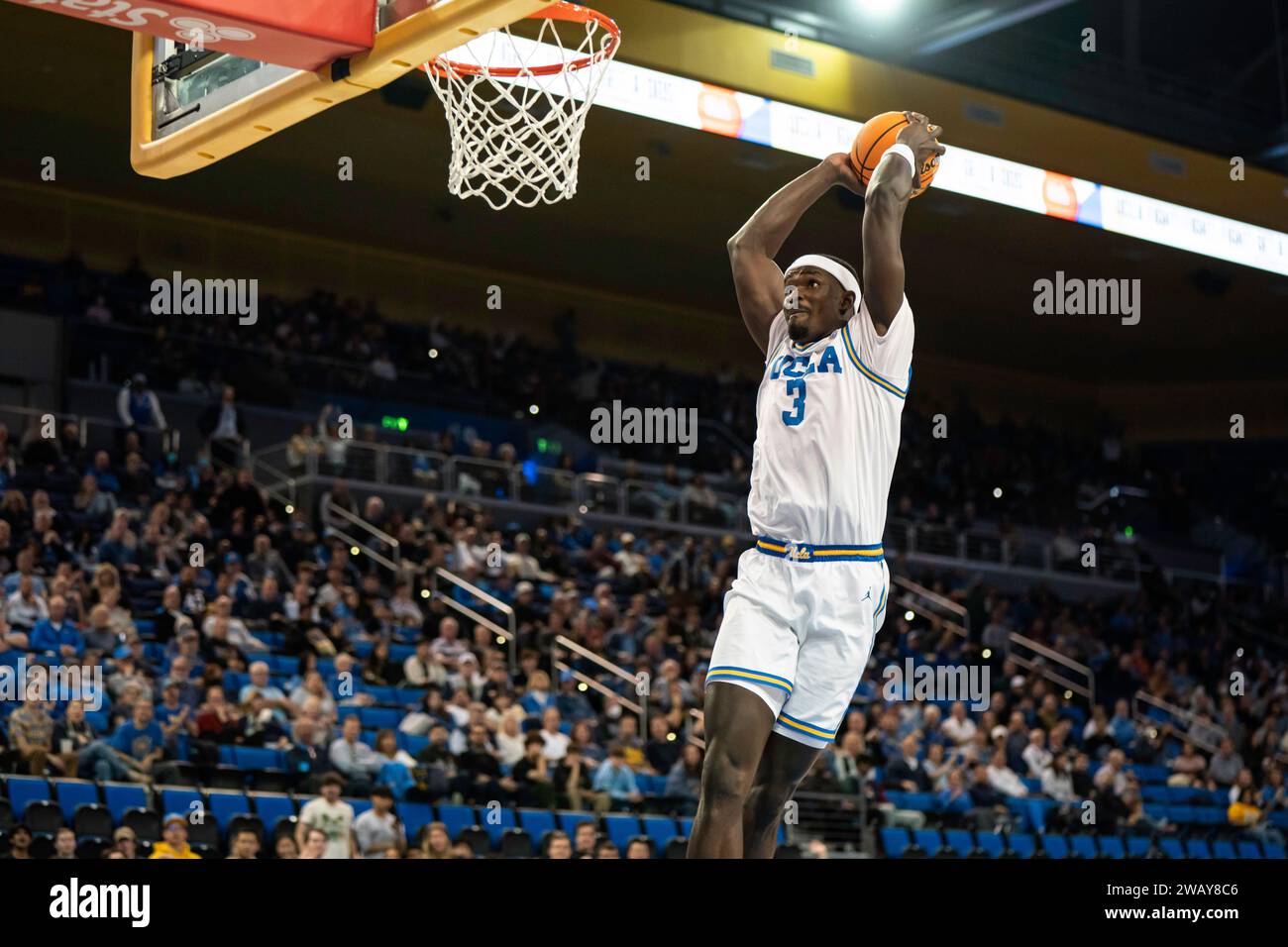 L'attaquant des Bruins de l'UCLA, Adem Bona (3 ans), dunks lors d'un match de basket-ball de la NCAA contre les Golden Bears de Californie, samedi 6 janvier 2024, à Pauley Pavili Banque D'Images