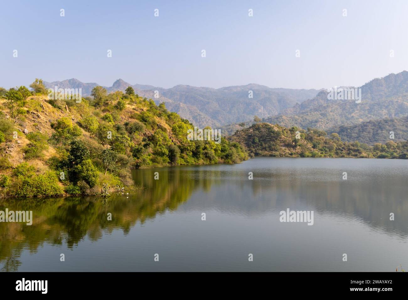 forêt de montagne avec reflet de lac vierge le jour sous un angle différent Banque D'Images