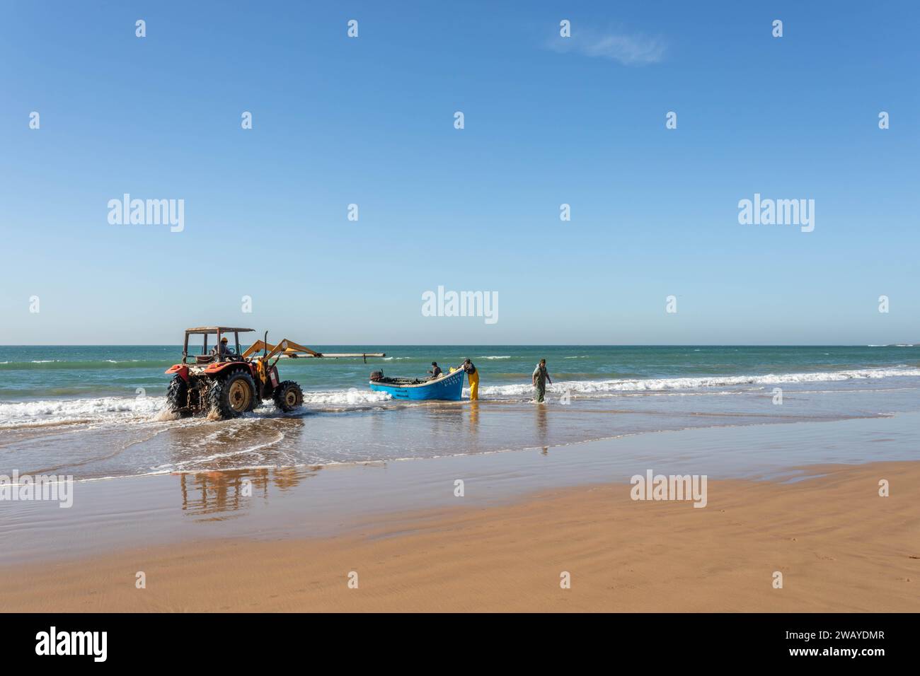 Un tracteur est sur la plage, prêt à soulever un petit bateau de pêche bleu en bois de l'eau après une sortie de pêche. Taghazout, Maroc, Afrique du Nord. Banque D'Images