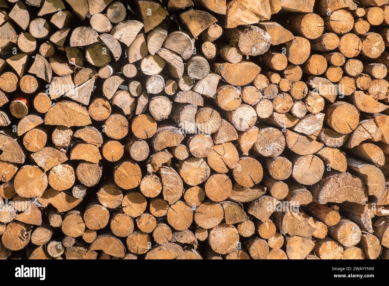Pile de grumes de bois de chauffage. Autriche. Banque D'Images