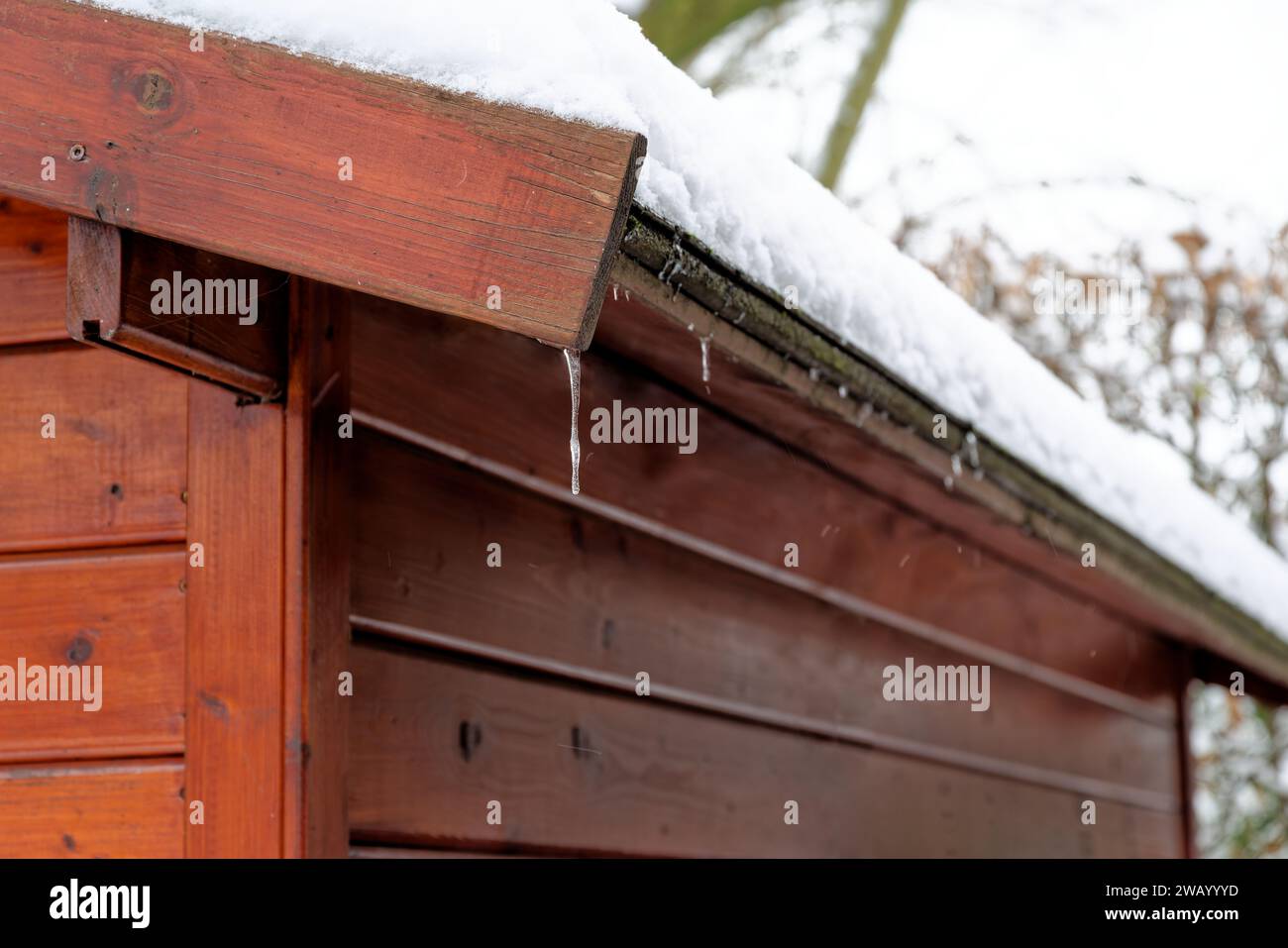 Gros plan d'un hangar en bois en hiver avec toit recouvert de neige blanche Banque D'Images