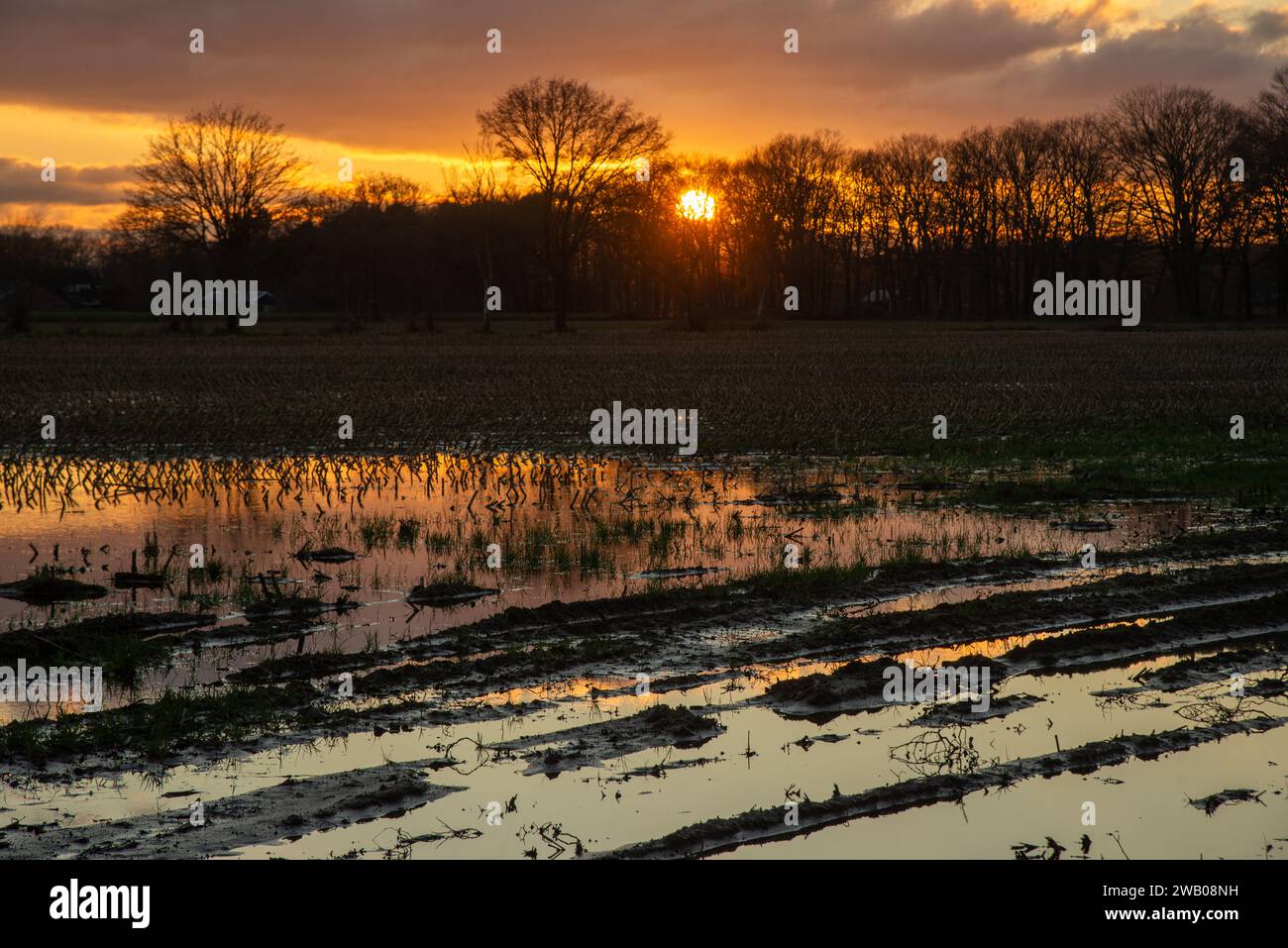 Coucher de soleil dans la zone rurale de Gelderland, Hollande Banque D'Images