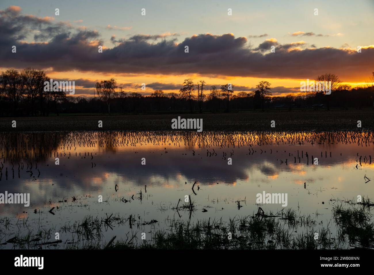 Coucher de soleil dans la zone rurale de Gelderland, Hollande Banque D'Images