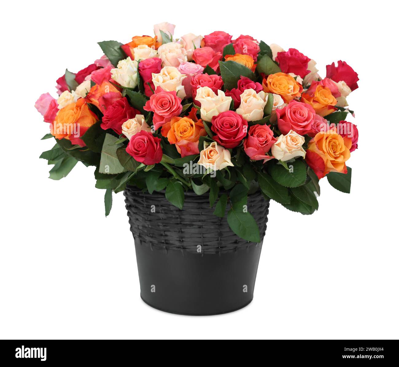 Bouquet de belles roses isolées sur blanc Banque D'Images